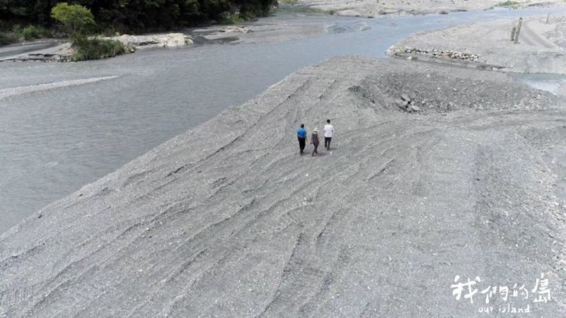 誰喝了魚的水 新武呂溪的日本禿頭鯊、大吻鰕虎不見了