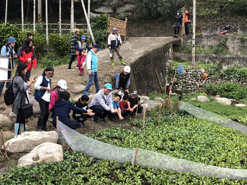 河川復育不只是拆壩 鱉溪治理防洪與生態並重 還魚、還石、還地於河