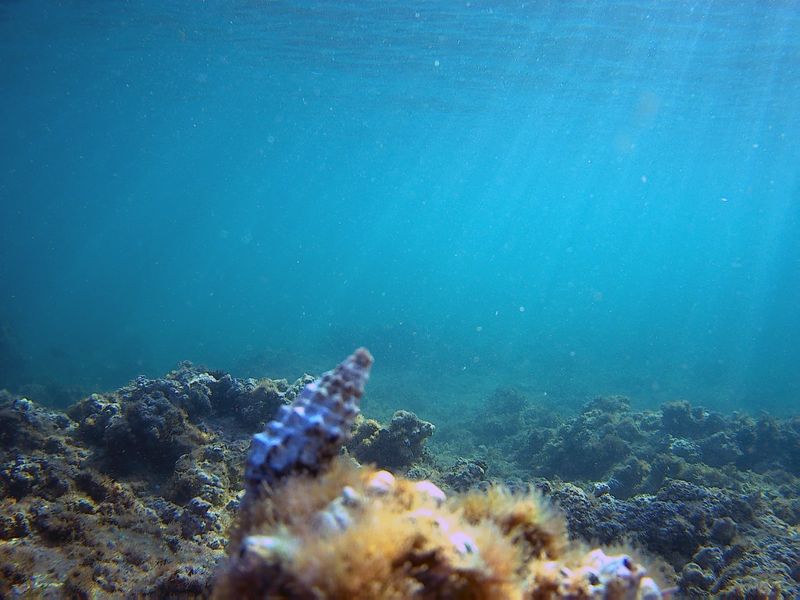 追求更完美的地圖 全球海床地形已繪製20% 預計2030年完成