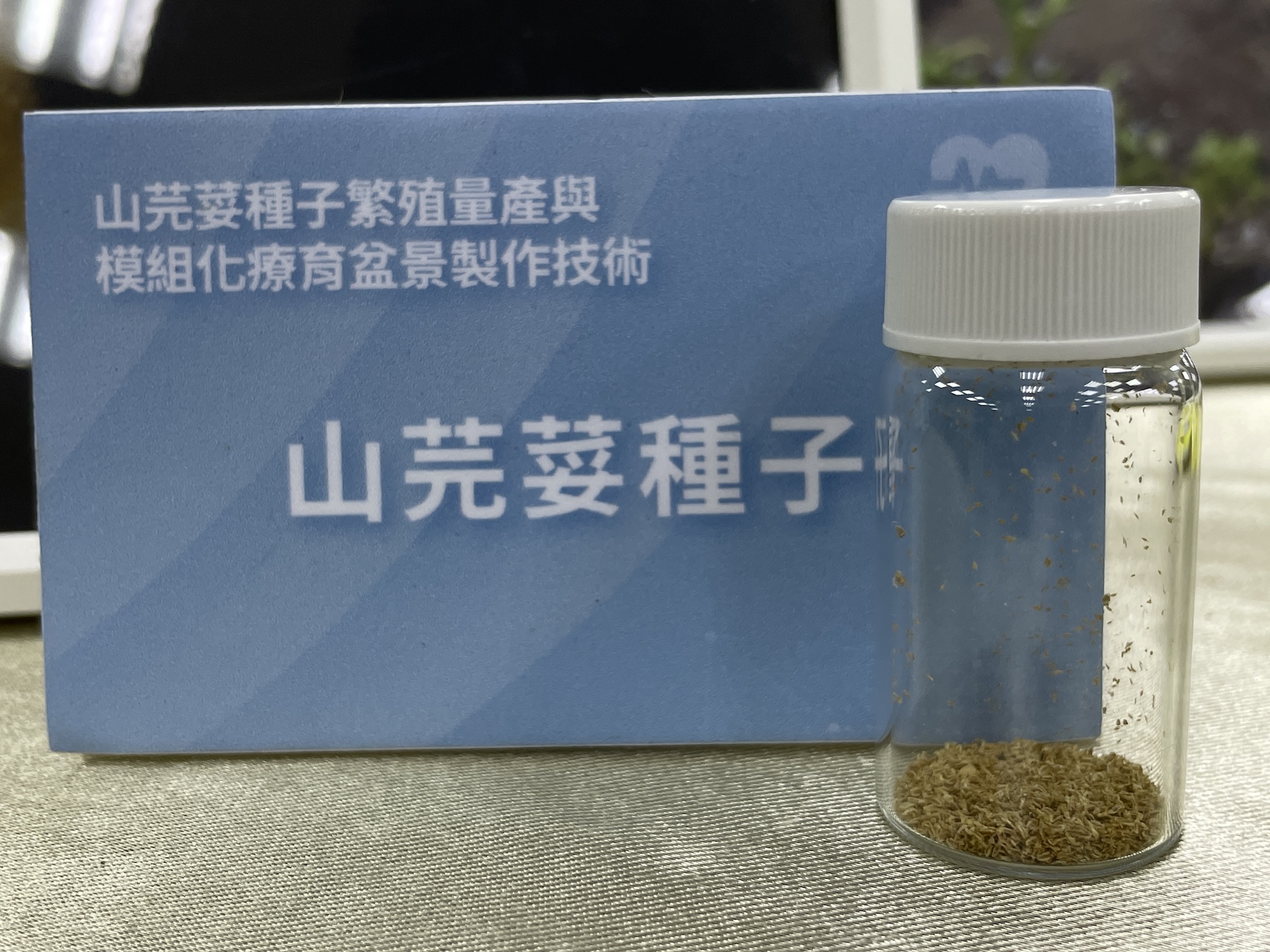 保存越多物種意義重大，可能是日後應對病蟲害的解方。攝影：潘柏林