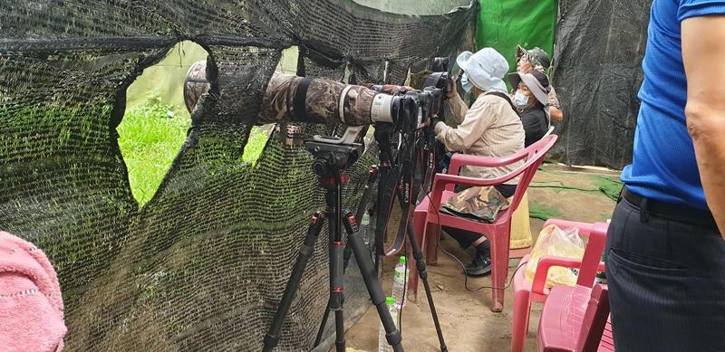 快門淪兇器 民間團體臥底兩年 揭全台六處非法拍鳥場所