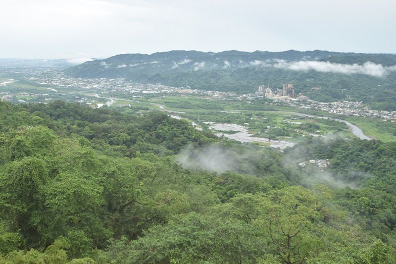 傳承台三線世界貿易接軌歷史 「樟之細路」步向國際 首站濟州