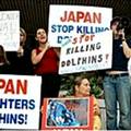 抗議日本宰殺海豚