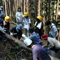 在日本赤目舉辦的「橡實工作假期」，來自台、日、韓的志工正準備搬運剛砍下的木材，用來搭建生態旅遊活動用的木橋。