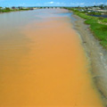 從二仁溪南萣橋上往海邊望去，可見溪水全是橘色。