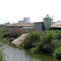 1.養雞戶公然將大量雞蛋殼傾倒在嘉南大圳。(攝於2005年4月10日)