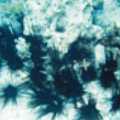 圖9.海膽是「除藻機」，將海底刮得乾乾淨淨，珊瑚寶寶才有地方著苗。
