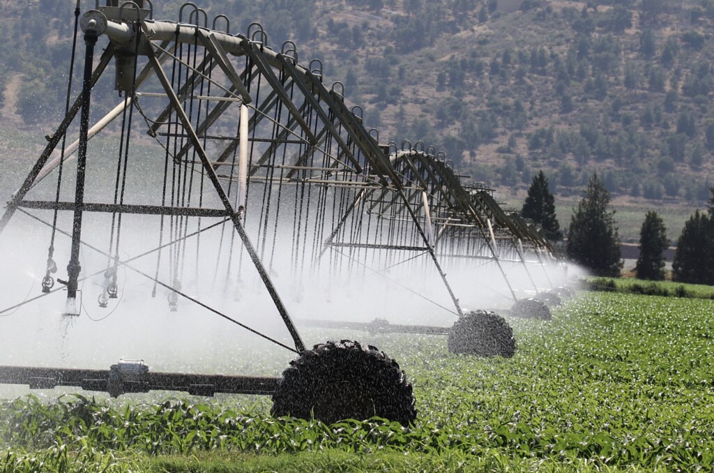 全球升溫3°C影響食物營養與糖分含量