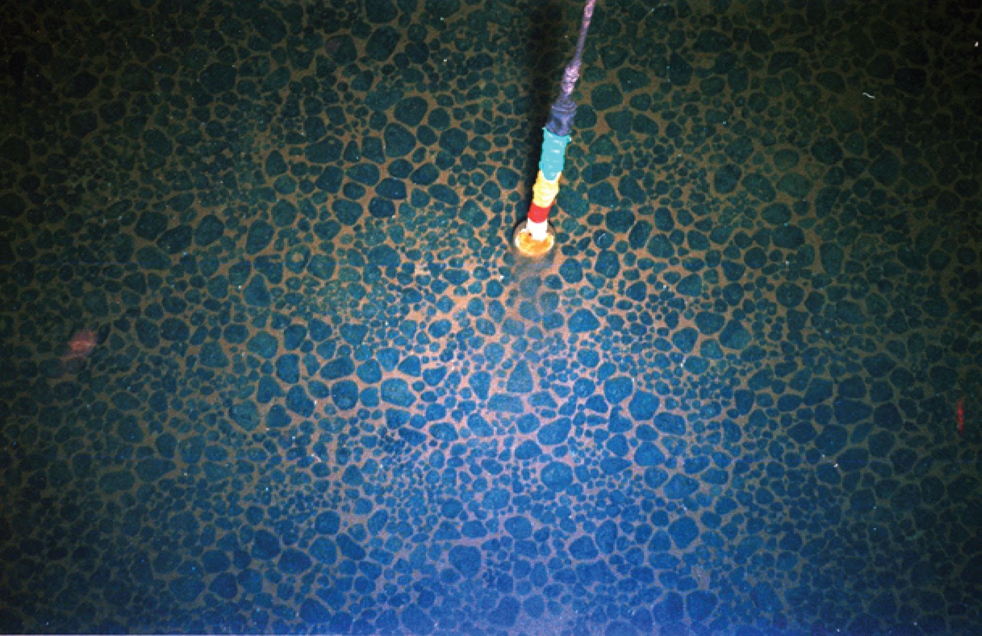 到深海搶稀土 科學家憂抗生素新藥研發受阻聯合國研擬新公約要管 環境資訊中心