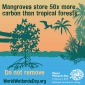 https://e-info.org.tw/sites/default/files/styles/85x85/public/photos/mangroves.jpg?itok=0NkeZqt4