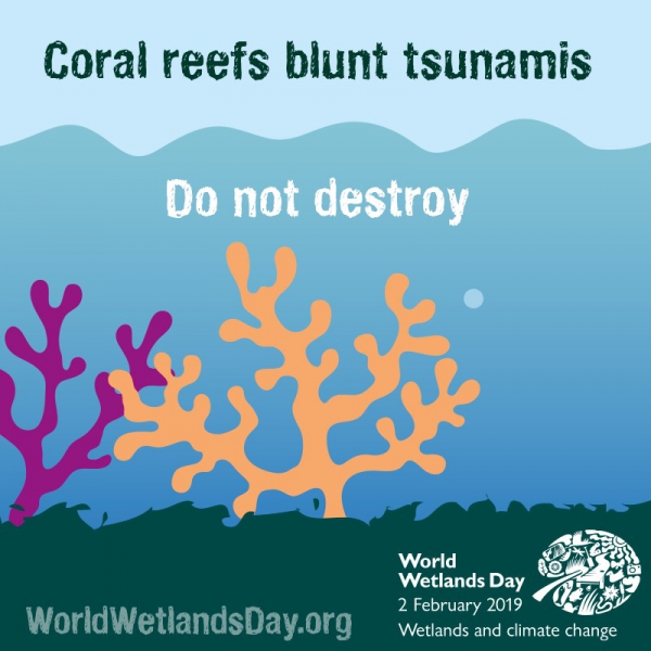 別破壞珊瑚礁，它能減弱海嘯的威力。