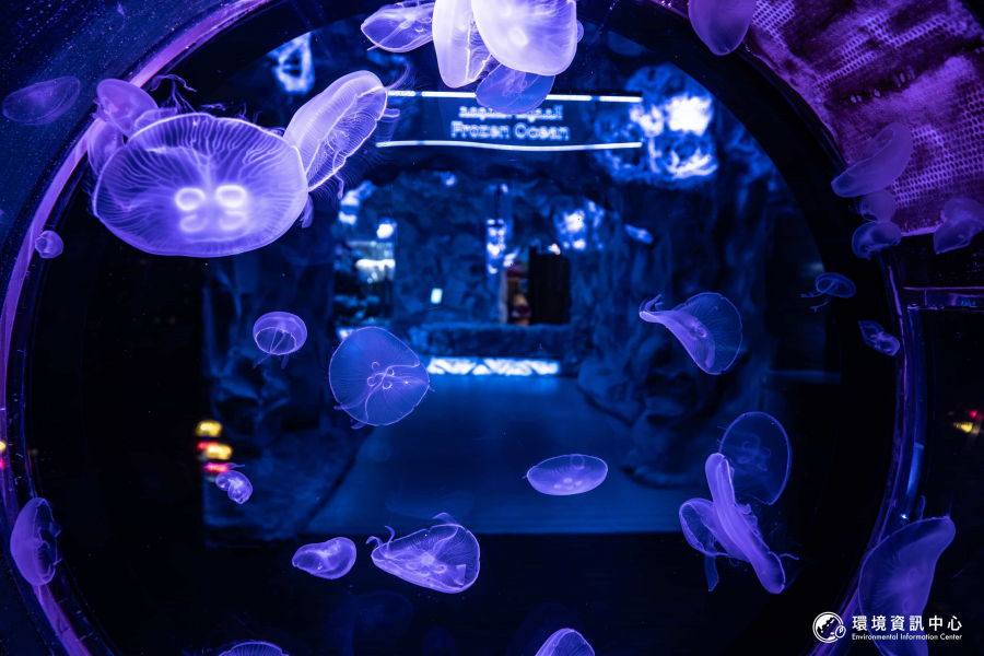 位於阿布達比的國家水族館（The National Aquarium），館內有著絢麗的大水族箱和多元的展區。