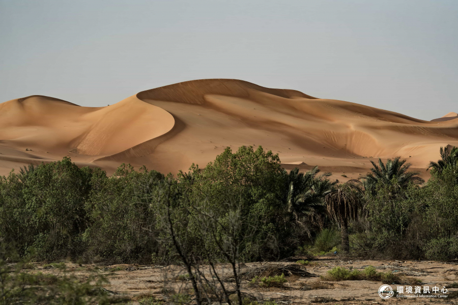 提到沙漠，大家可能只會想到金黃色的沙，但如果把視野拉近，千千萬萬群微生物仍在氣候極端的沙漠裡，塑造出富含養分、水分的土壤，讓植物生長。