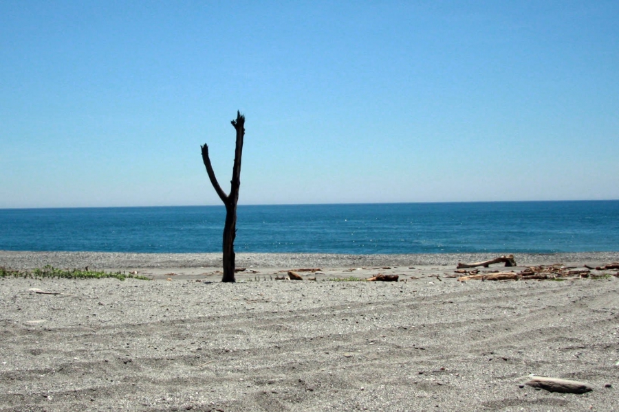 知本濕地海灘一景。圖：荒野保護協會