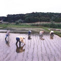 خtHUϤvkݪΪkH饻HU|]The Association of National Trusts in Japan^