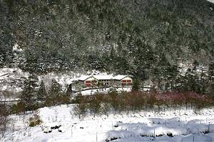 武陵管理站被白雪包覆的景象，真是千金難買、千金難尋。
