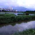 【關渡河口溼地】：台北盆地從古台北湖到今天的水泥叢林，數次海進海退。關渡是台北盆地曾為溼地平原的最後見證。